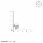 Radiant Butterfly Circle Studs
